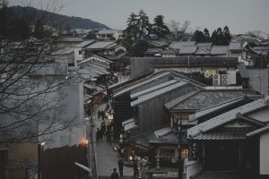 植物大战僵尸屋顶关卡，倾斜屋顶上植物排列，投石车僵尸从远处投掷石块，场面激烈